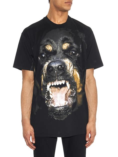 givenchy rottweiler polo|Rottweiler printed t.